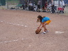 /PBB/PhotoGallery/SoftBall/01/Grass Skirt Night/